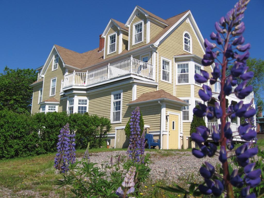 Louisbourg Harbour Inn Exterior foto