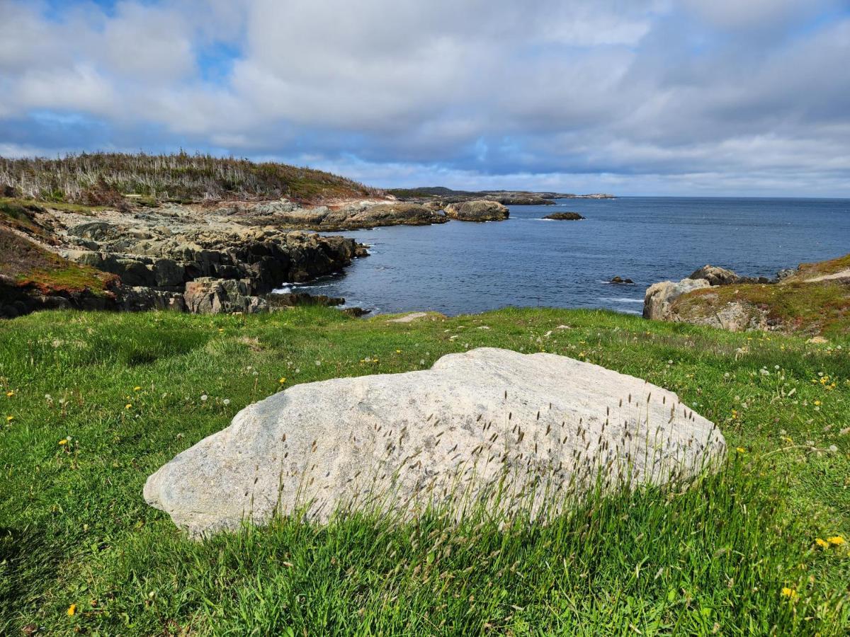 Louisbourg Harbour Inn Exterior foto